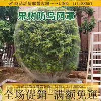 在飛比找樂天市場購物網優惠-防鳥網~果樹防鳥罩嘉寶果櫻桃果園大棚魚塘天網陽臺菜地防護網尼