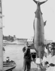 Man Holds Atlantic Blue Marlin In The Bahamas 1962 Old Fishing Photo