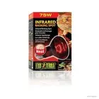 Exo Terra 75 Watt Infrared Heat Lamps Reptile Light