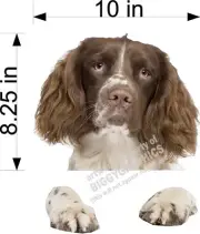 BROWN ENGLISH SPRINGER SPANIEL DOG VINYL PEEKER DECAL STICKER FOR CAR WINDOW