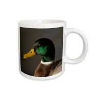 3dRose Mallard Duck, Commonwealth Lake Park, Oregon, USA - US38 MHE0087 - Michel