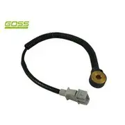 RAE Knock Sensor - K1583