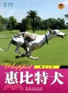 在飛比找三民網路書店優惠-世界名犬系列：惠比特犬（簡體書）