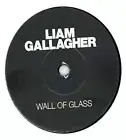 Liam Gallagher Wall of Glass Vinyl 7" New Sealed