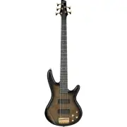 Ibanez Gio GSR205PC TPB (Transparent Pale Black Burst) Ibanez 5 String Bass