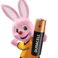 在飛比找蝦皮購物優惠-Duracell 金頂 鹼性電池 卡裝 金頂電池 1號 2號