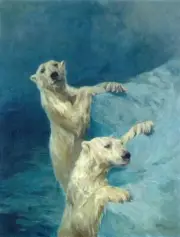 Polar Bears : Arthur Wardle : 1902 : Archival Quality Art Print