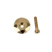 Mountain Bike Bearing Cover Modified Front Fork Head Cover Gold top cover with screws