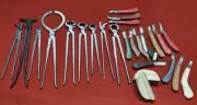 Heavy Duty Professional Horse Care Farrier Tool Kit Hoof Clincher Nipper 25 Pcs