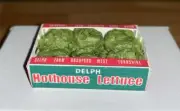 MINIATURE DOLLHOUSE 1:12 SCALE CARTON OF HOTHOUSE LETTUCE BOX - PC147H
