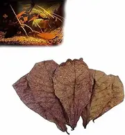 Generic Indian Almond Leaves for Betta, Large Catappa Leaves, Aquarium Shrimp Tank Decorations, PH Balance Water Conditioner, 5PCS