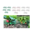 5x Strawberry Plant Supports Stand Frame Easy to Install Cage Strawberry Growing