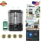 Smart 6L Cool Mist Humidifier with Essential Oil Diffuser & 7-Color Night Light