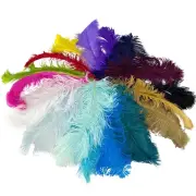 Five ( 5 ) factory seconds Mauve Chalk ostrich feather wing plumes quality