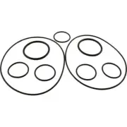 Jandy O-Ring Kit for EnvironPool Dust&Vac and Caretaker 5-13-1