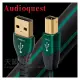 台中【天韻音響】美國 Audioquest USB-Forest 傳輸線0.75M (A↔B)~另售increcable