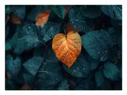 Love Leaf Canvas Print