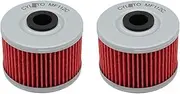 Motorcycle Engine Oil Filter for Sport 300 S XS RS Utility Crossroad 300 Flat 500 500 S(2pcs-red)