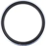 Dana 673301 Wheel Seal, 5.896" Inside Diameter, 17.29" Outside Diameter