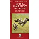 SANDHILL CRANE DISPLAY DICTIONARY: WHAT CRANES SAY WITH THEIR BODY LANGUAGE