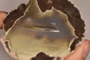*THUNDEREGG* 7.5cm 179.8g AUSTRALIAN Mt Warning Agate Geode Natural Stone