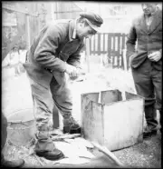 Fish brood institute of the canton Neuchatel near Colombier 1948 Old Photo 2