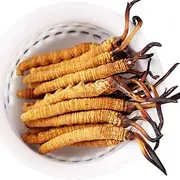 100% Wild Himalayan Cordyceps Sinensis,Chinese Caterpillar Fungus,Dong Chong Xia Cao,Cordyceps Sinensis,Wild Cordyceps. (5g)