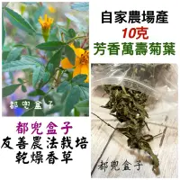 在飛比找蝦皮購物優惠-《都兜盒子》自家農場-乾燥香草/芳香萬壽菊葉子/乾燥花草/花