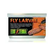 Fly Larvae 34 gram Black Soldier Fly Larvae for Reptiles by Exo Terra