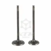 Intake and Exhaust Valves Kit For Honda NX250 1988-93 AX-1 1989-94 14711-KW3-000