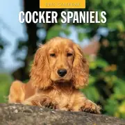 Red Robin 2025 Cocker Spaniels Monthly Wall Calendar | 12 x 24 Open | Premium...