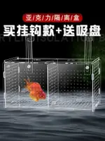 現貨 魚缸鬥魚隔離盒亞克力外掛隔離網分離盒保護小魚繁殖孵化盒箱吸盤