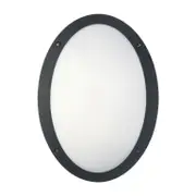 Bulkhead Wall Light Lamp 12W Oval Black 4000K IP66 OD330mm 800LM