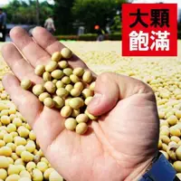 在飛比找露天拍賣優惠-台糖 本土黃豆 非基因改造 黃豆 (500g/包) 超商上限