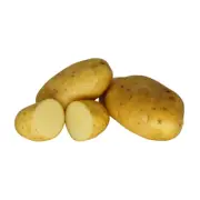 Fresh Yukon Gold Potatoes *10 LBS BAG* Prime Picked Vegetable FREE PRIORITY SHIP