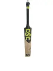 DSC Condor Drive Cricket Bat
