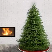 National Tree Norway Spruce Tree, Green
