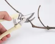 Pruner Tree Cutter Gardening Pruning Shear Scissor Stainless Steel Cutting Tools
