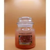 在飛比找蝦皮購物優惠-《二手》Yankee candle peony 洋基蠟燭 香