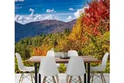 3D Mountain Forest 5249 Beth Sheridan Wall Murals Wallpaper Mural Wall Murals Removable Wallpaper, Non-Woven Paper