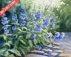 Polemonium Jacobs Ladder in a shaded garden Watercolor 8x10 Print