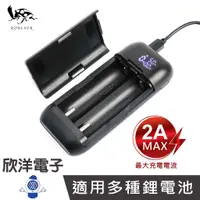 在飛比找蝦皮商城優惠-RONEVER 向聯 LED顯示/鋰電池快速充電器-2A (