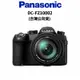 Panasonic LUMIX DC-FZ10002 類單眼 (公司貨) 廠商直送 原廠保固 FZ10002