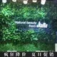 【現貨促銷】歐美時尚爆款批發綠植墻仿真植物墻婚慶裝飾室內背景花墻面綠色壁掛塑料假草坪配件(355元)