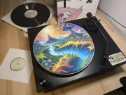 Psychedelic Fractal Landscape Felt Record Player Turntable Slipmat Mat, Mushroom