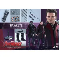 在飛比找蝦皮購物優惠-HOT TOYS MMS289 復仇者聯盟2 鷹眼