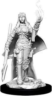 WizKids WK90044 Pathfinder Battles Deep Cuts Female Human Oracle Miniature Game