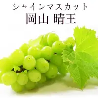 在飛比找森森購物網優惠-果物樂園-日本岡山縣晴王麝香葡萄2房禮盒(約600-700g