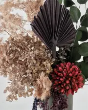 Scorpio