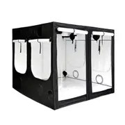 Homebox Q240 Evolution Grow Tent - 240 X 240 X 200cm - Ambient + Black
